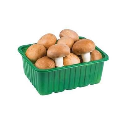 Imaginea CIUPERCI BRUNE