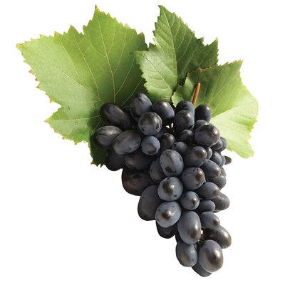 Imaginea STRUGURI NEGRI